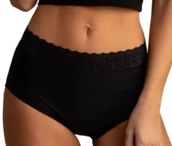 Sabina Premium Period Full Brief SBF91